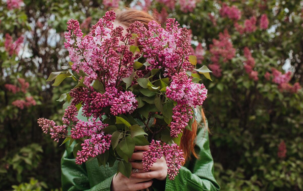 Штраф за пошкодження бузку: закон, розмір покарання та рекомендації 1