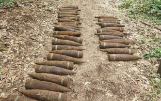 У Берліні в лісі виявлено 59 невибухових радянських снарядів Другої світової 25