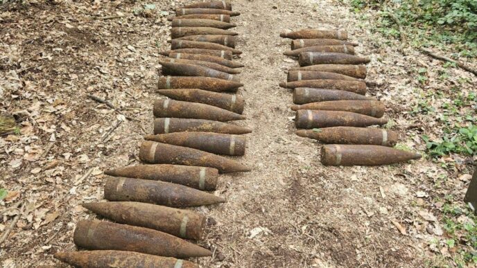 У Берліні в лісі виявлено 59 невибухових радянських снарядів Другої світової 27