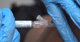 Вчені розробили антитіла проти EBV – потенційна захисна технологія проти вірусу, що інфікує 95 % населення 1