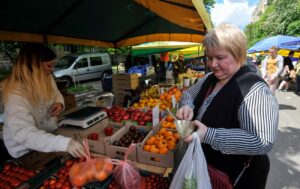 Весняні заморозки та їх вплив на постачання абрикосів і персиків у 2026 році 31