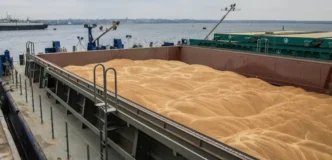 Єгипет вчетверте за місяць прийняв крадену Росією пшеницю: 26,9 тис. тонн через Крим — Сибіга вимагає арешту судна 9