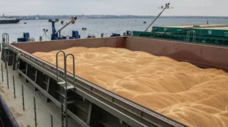Єгипет вчетверте за місяць прийняв крадену Росією пшеницю: 26,9 тис. тонн через Крим — Сибіга вимагає арешту судна 185
