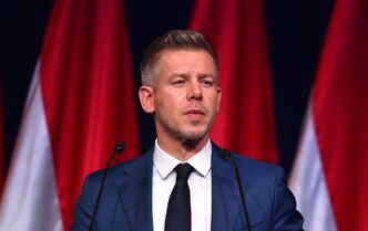 Петро Мадяр продовжить захист прав угорської меншини в Україні через діалог 5