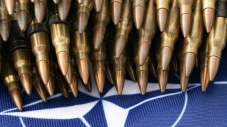 НАТО проводить масштабні навчання «Щит свободи» у Литві: 2 900 військових і техніка з 8 країн 71