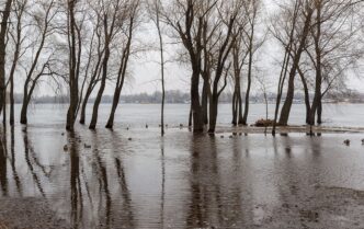 Весняне водопілля 2026 в Україні: стан річок, ризики та прогнози 37