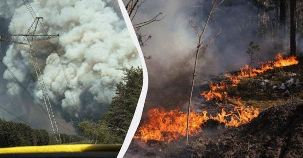 Лісова пожежа біля Чорнобиля: масштаби та дії 3