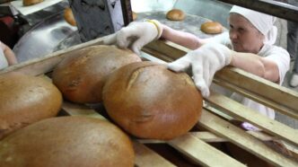 Хліб в Україні 2026: чому очікується підвищення на 25 % 205