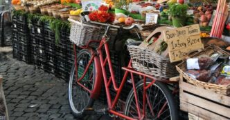 Порівняння вартості життя в Ерфурті та Житомирі: що показує українська біженка 5