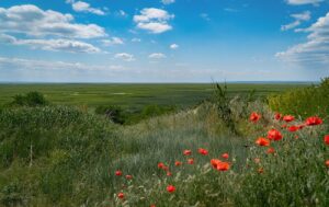 Еко‑стан Великого Лугу після підриву Каховської ГЕС: моніторинг, біорізноманіття та перспективи ЮНЕСКО 29