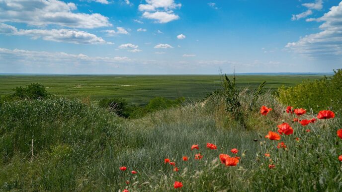 Еко‑стан Великого Лугу після підриву Каховської ГЕС: моніторинг, біорізноманіття та перспективи ЮНЕСКО 8 Еко‑стан Великого Лугу після підриву Каховської ГЕС: моніторинг, біорізноманіття та перспективи ЮНЕСКО 7