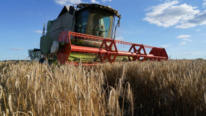 Недостаток пального загрожує збирати урожай у російському сільському господарстві 24 Недостаток пального загрожує збирати урожай у російському сільському господарстві 23