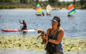Прогноз погоди в Україні на 21 червня 2026 : температура до +33 °C, без опадів 37