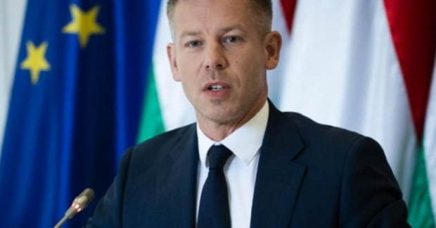 Мадяр усунув пункт про прискорений вступ України до ЄС з декларації ЄС 8 Мадяр усунув пункт про прискорений вступ України до ЄС з декларації ЄС 7