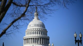 У США скасували святковий парад до 250‑річчя Незалежності через екстремальну спеку 245