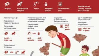Кримінальна та адміністративна відповідальність за жорстоке поводження з тваринами в Україні 13