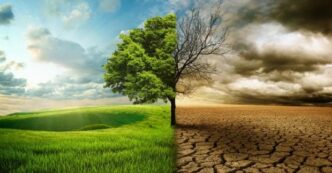 Прогноз до 2100 р.: клімат, біотехнології та майбутнє планети 17