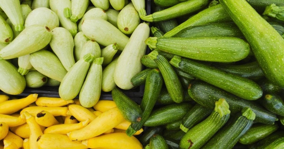 Як зберегти кабачки на зиму: 3 перевірені способи 209