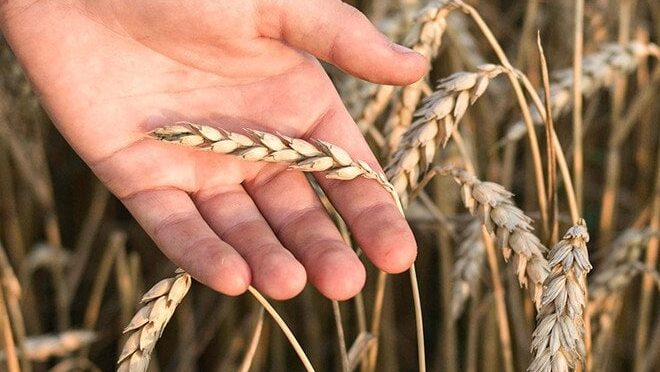 1 серпня: релігійне і світове значення дня – святкові події та пам’ять 9