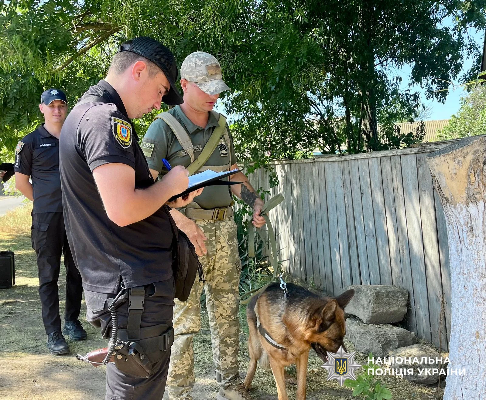 Зникла 15‑річна Аліна Урсу на Одещині знайдена мертвою, підозрюваний 19‑річний односелець 16 Зникла 15‑річна Аліна Урсу на Одещині знайдена мертвою, підозрюваний 19‑річний односелець 15