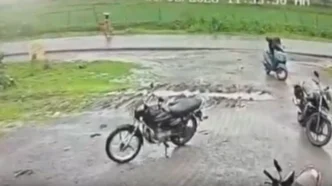 Блискавка вбила жінку в Індії під час мусонної грози – відео 507