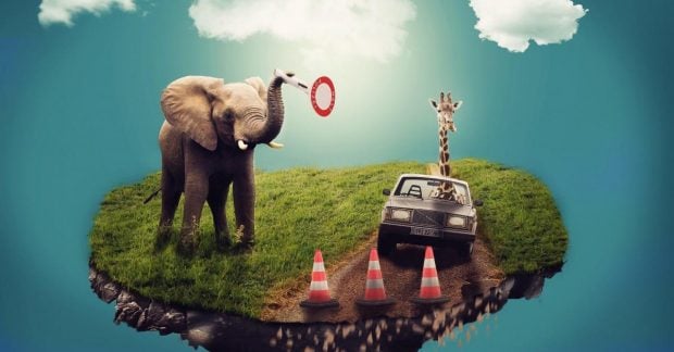 Чудернацькі сни: як характер і денний досвід формують зміст сновидінь 20 Чудернацькі сни: як характер і денний досвід формують зміст сновидінь 19