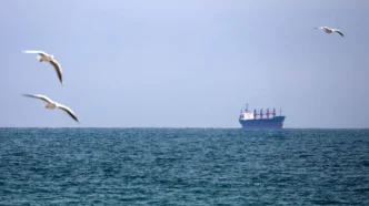 Російська атака на цивільне судно під прапором Танзанії в Чорному морі: загинув капітан 17
