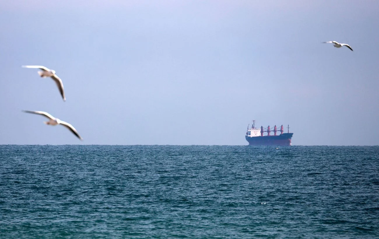 Російська атака на цивільне судно під прапором Танзанії в Чорному морі: загинув капітан 15