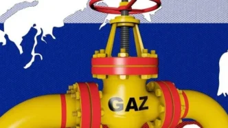 Ультраправі "Альтернатива для Німеччини" веде переговори з Росією про відновлення постачання газу 453