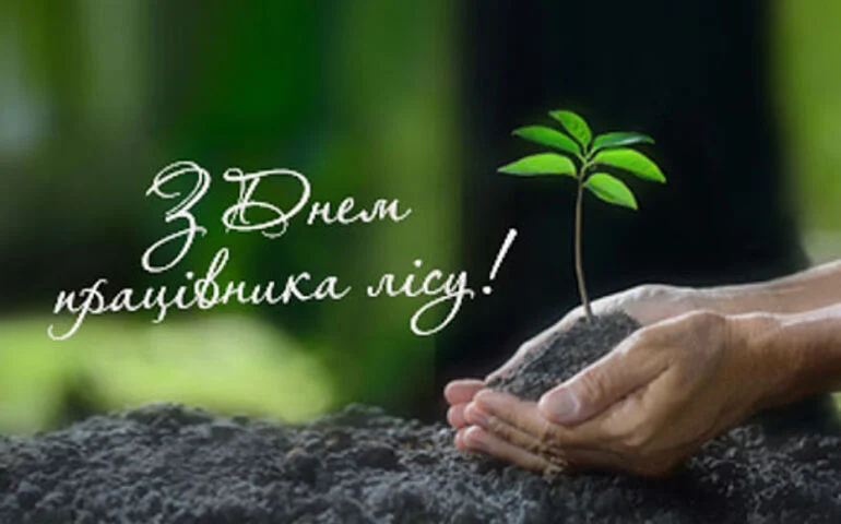 День працівників лісу — привітання, вірші та побажання 8 День працівників лісу — привітання, вірші та побажання 7