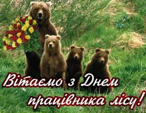 День працівників лісу — привітання, вірші та побажання 16 День працівників лісу — привітання, вірші та побажання 15