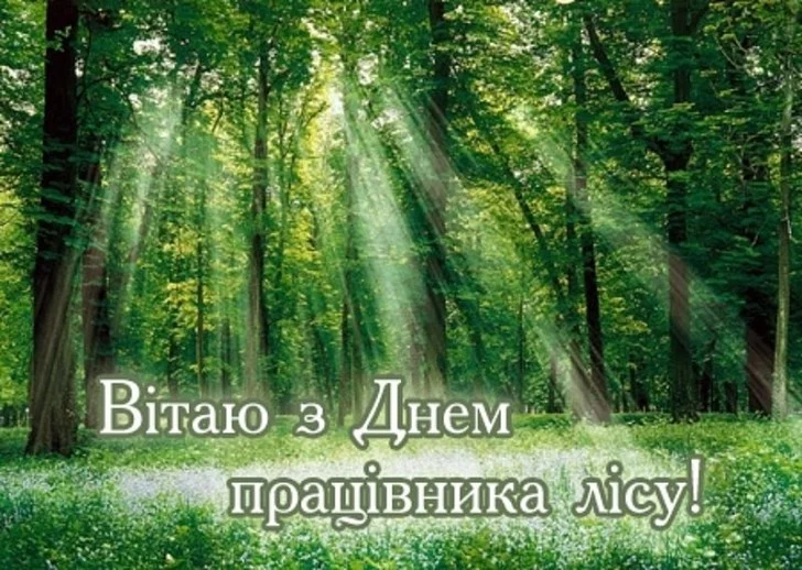 День працівників лісу — привітання, вірші та побажання 18 День працівників лісу — привітання, вірші та побажання 17
