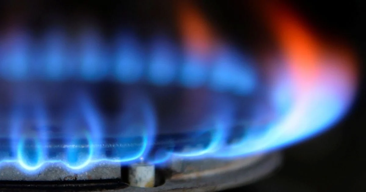 Планове технічне обслуговування газових приладів: уникнути штрафу до 2000 грн 29