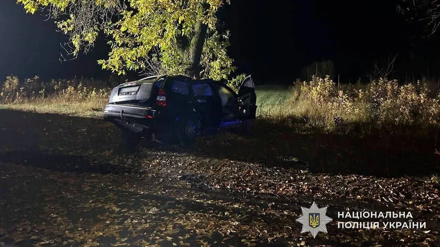 ДТП на Закарпатті: загинув водій і двоє неповнолітніх – офіційні дані 5