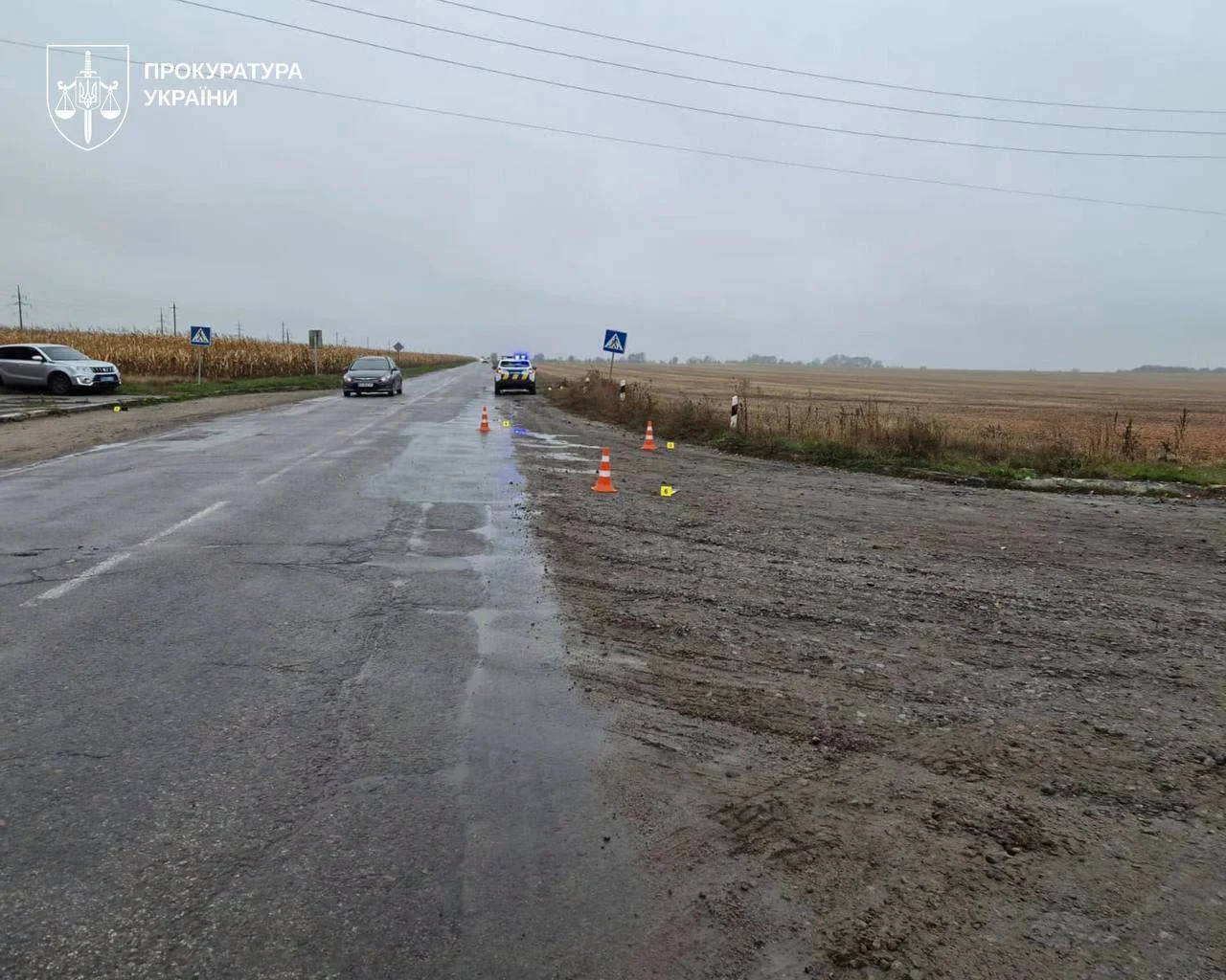 Збив і втік: прокурор зізнався у смертельній ДТП біля Ставища 8 Збив і втік: прокурор зізнався у смертельній ДТП біля Ставища 7