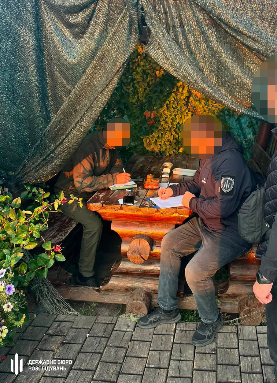 Операція «Зелений щит»: ДБР викрило схеми на сотні мільйонів у лісах 9